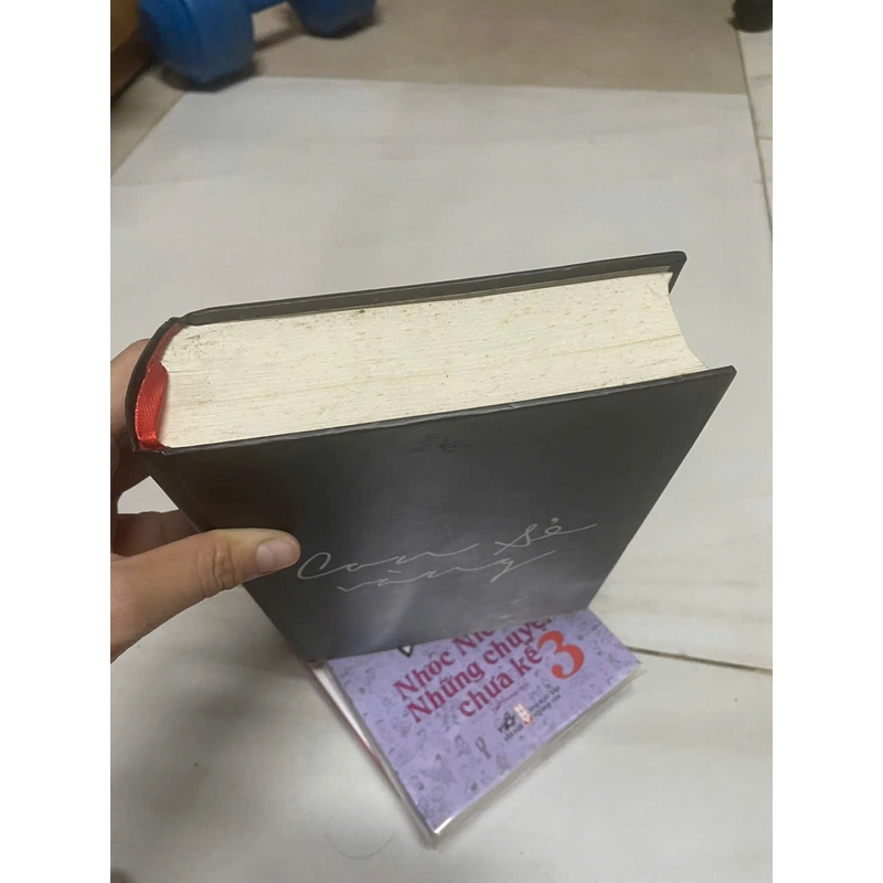 Con sẻ vàng  - Donna Tartt 462961