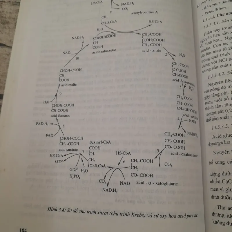 Vi sinh vật công nghiệp. Giảng viên Lê Xuân Phương ĐH KT Đà Nẵng. 608418
