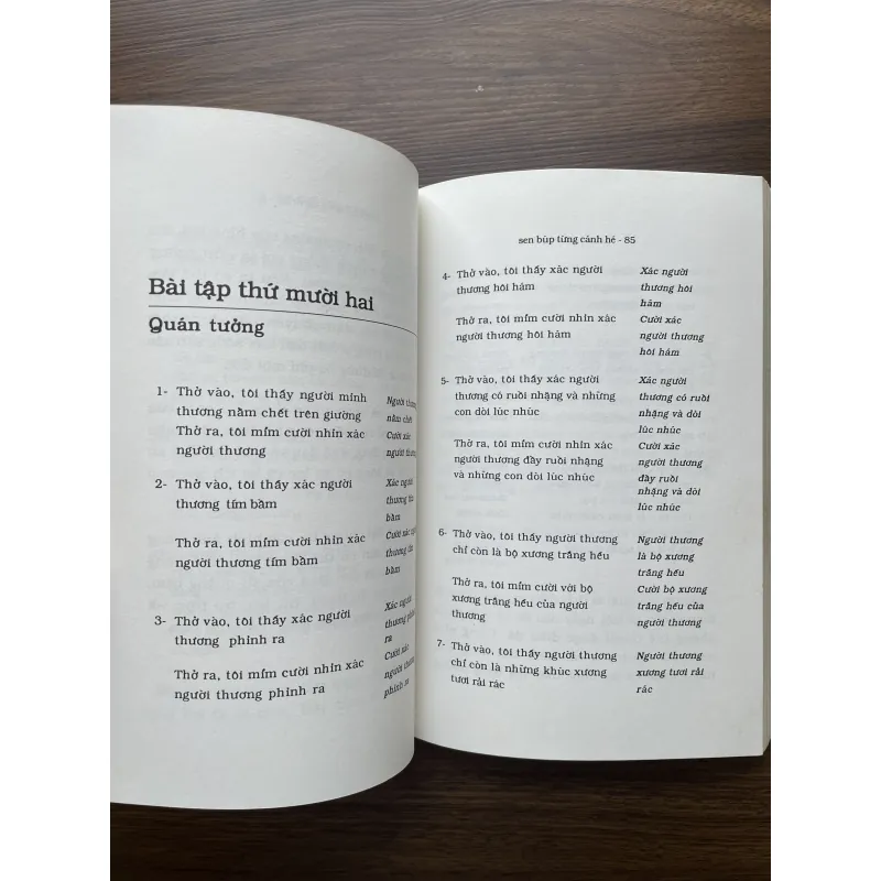 Sen búp từng cánh hé - Thích Nhất Hạnh 991447