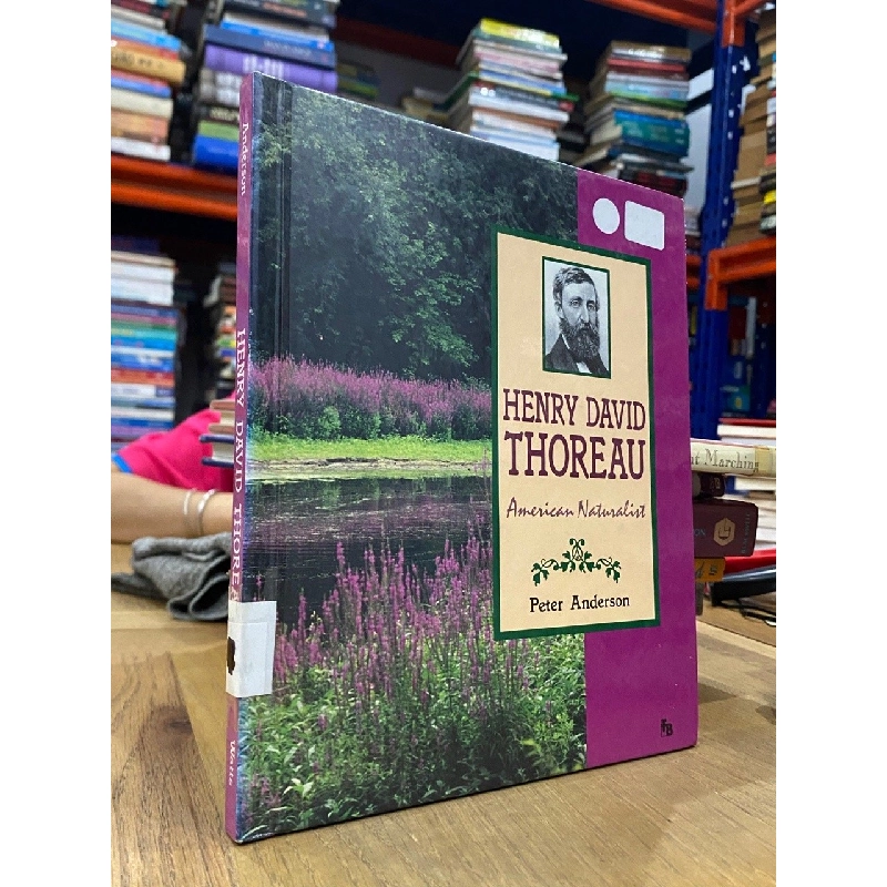Henry David Thoreau (American Naturalist ) - Peter Anderson 549647