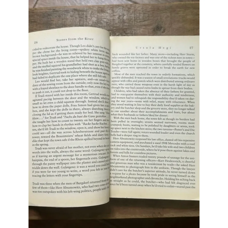 Stones from the River - Ursula Hegi 728986