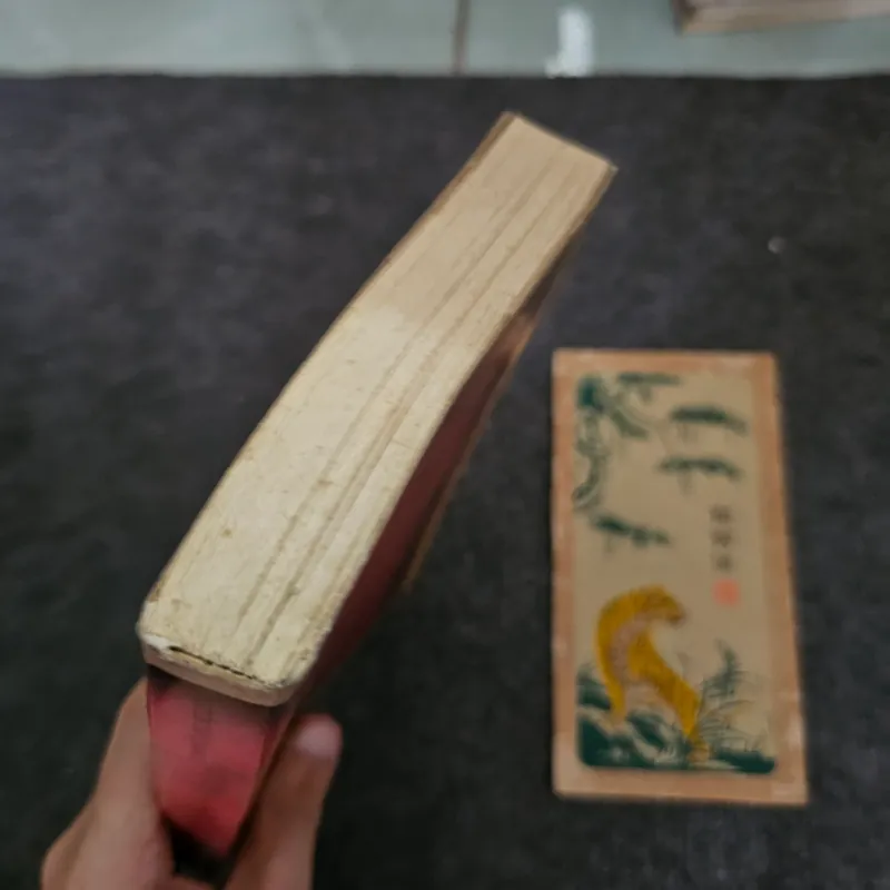 Tiểu thuyết lịch sử Nguyễn Du 737016