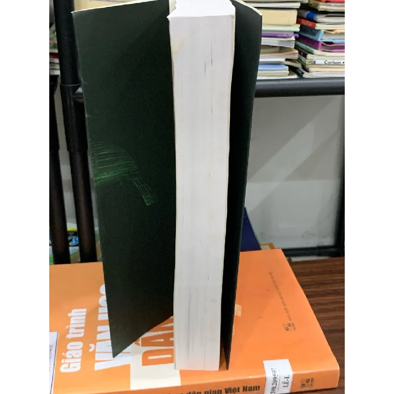 Văn học Việt Nam Từ thế kỷ X đến hết thế kỷ XIX – Trần Nho Thìn 592565