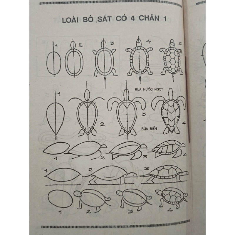 Tự học vẽ: Cách vẽ động vật - Trần Thế Trọng 784467