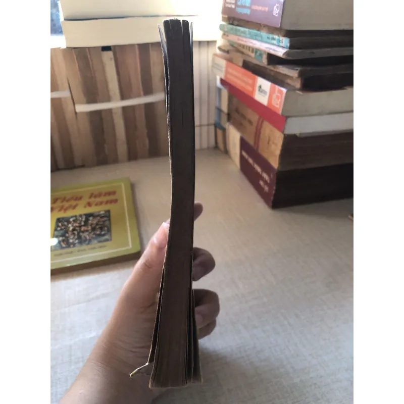 Người chồng lý tưởng-Nguyễn Quang  961393