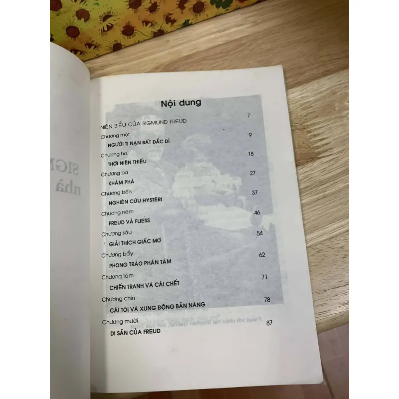 Sigmund Freud Nhà Phân Tâm Học Thiên Tài - Stephen Wilson 758686