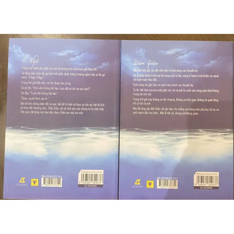 Mây đen gặp trăng sáng- Đinh Mặc 785879