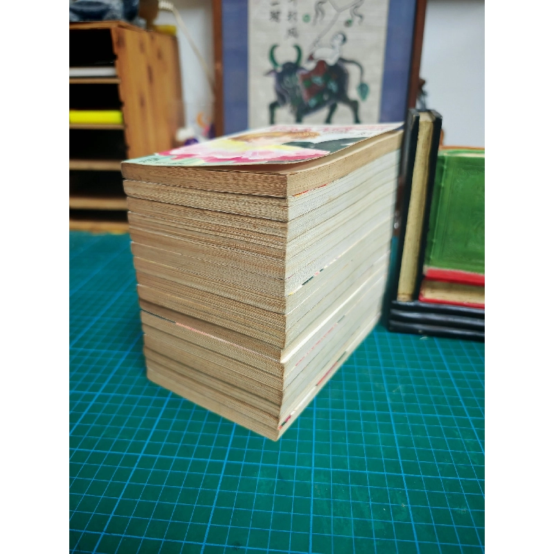 TRUYỆN TRANH HOA HỒNG TÓC NGẮN - YOSHIMURA AKEMI 324429