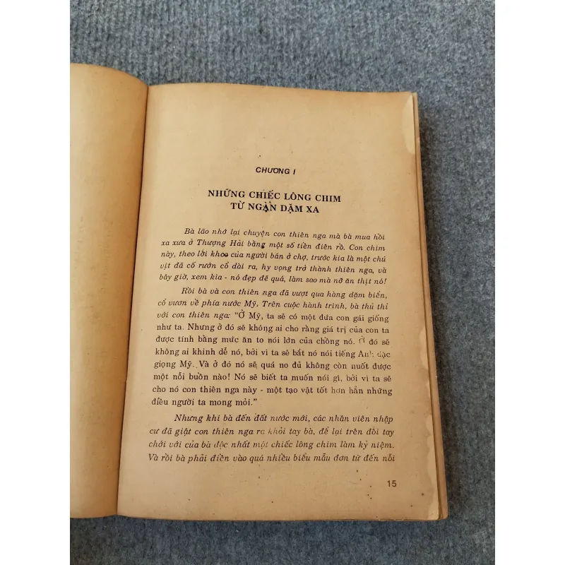 PHÚC LẠC HỘI - TẦN ÁI MỸ 694790