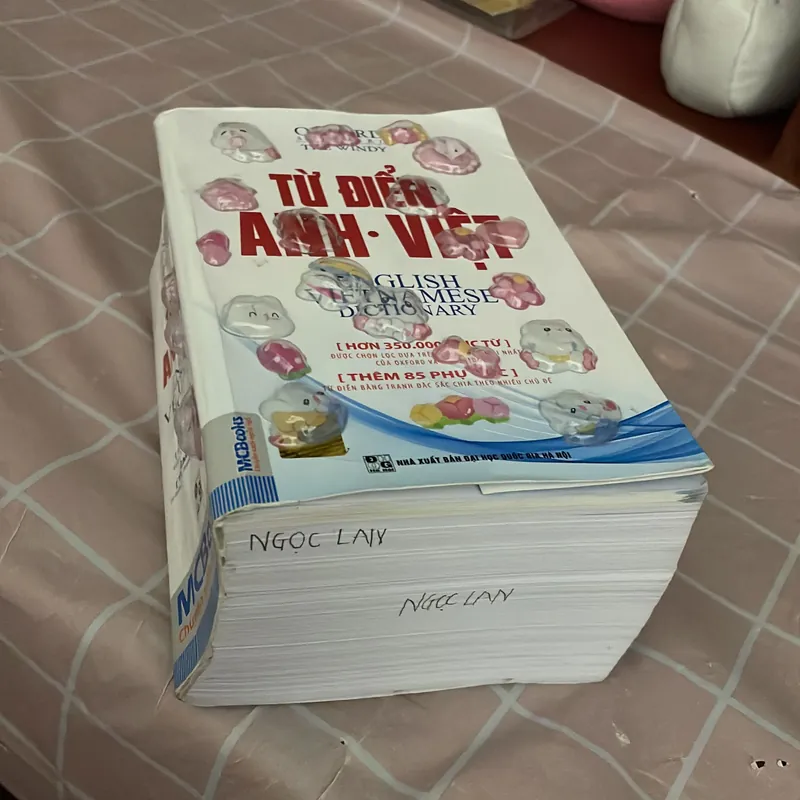 Từ điển Anh-Việt 715438