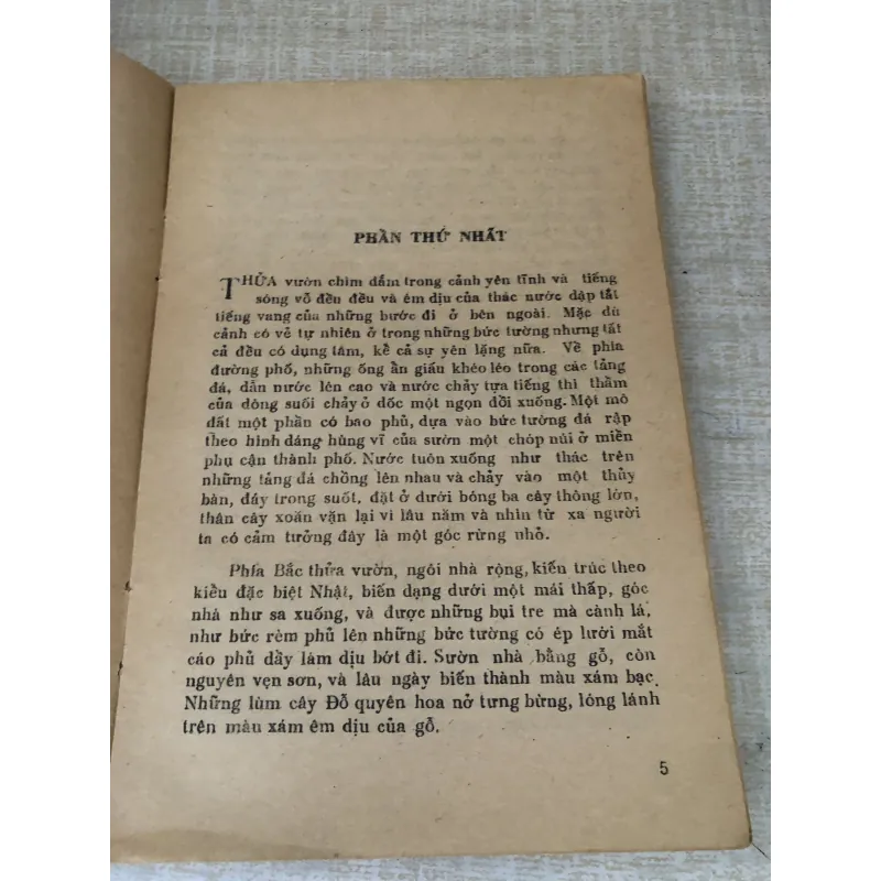 Cánh hoa e ấp  995292