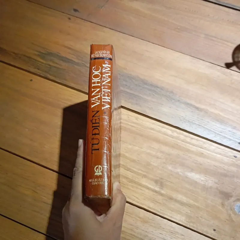 Từ điển Văn Học Việt Nam  577019