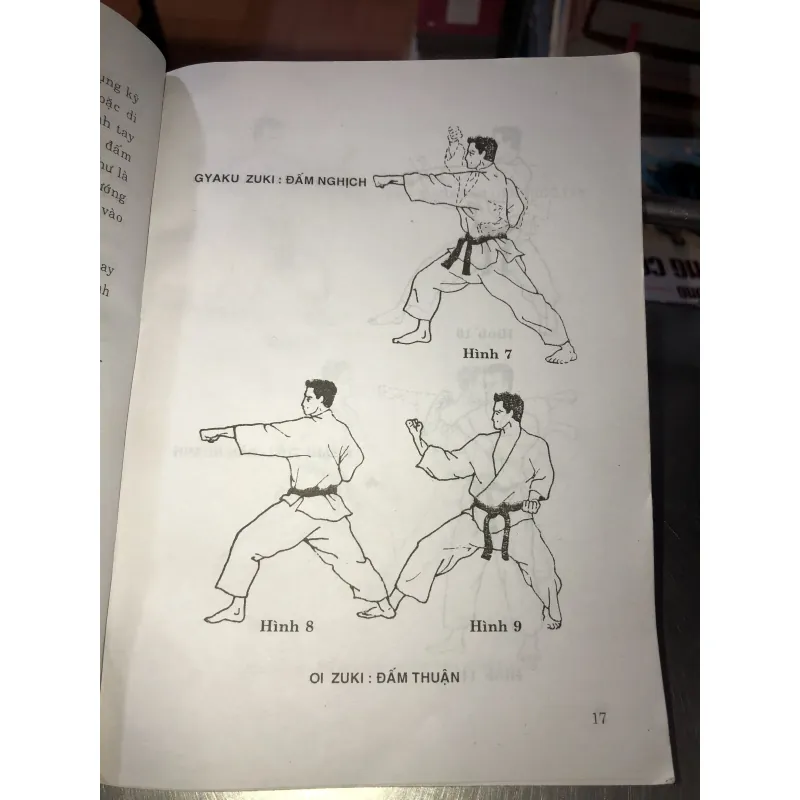 Karate-ka thượng đẳng - Hồ Hoàng Khánh 977073