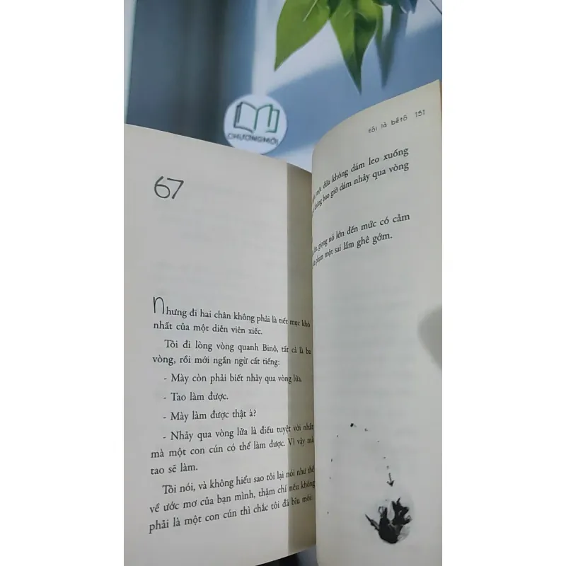 Tôi là Bêtô - Nguyễn Nhật Ánh 798505