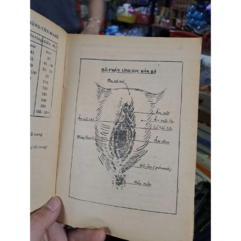 Sự điều hoà sinh sản - Đặng Văn Đang - 1971 mới 80% ố - KHOA HỌC ĐỜI SỐNG - HCM0111 920768