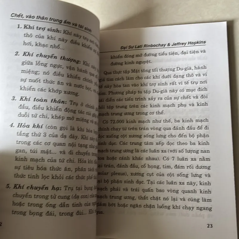 Chết, vào thân trung ẩm và tái sinh theo Phật giáo Tây Tạng  756715