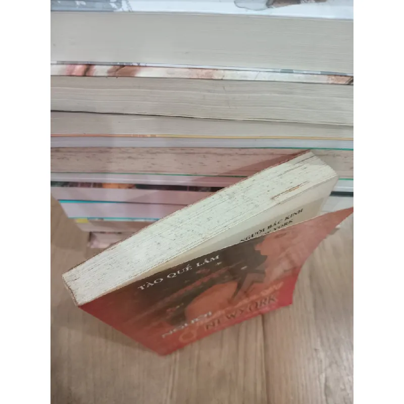 Người Bắc Kinh ở Newyork - Tào Quế Lâm 450292