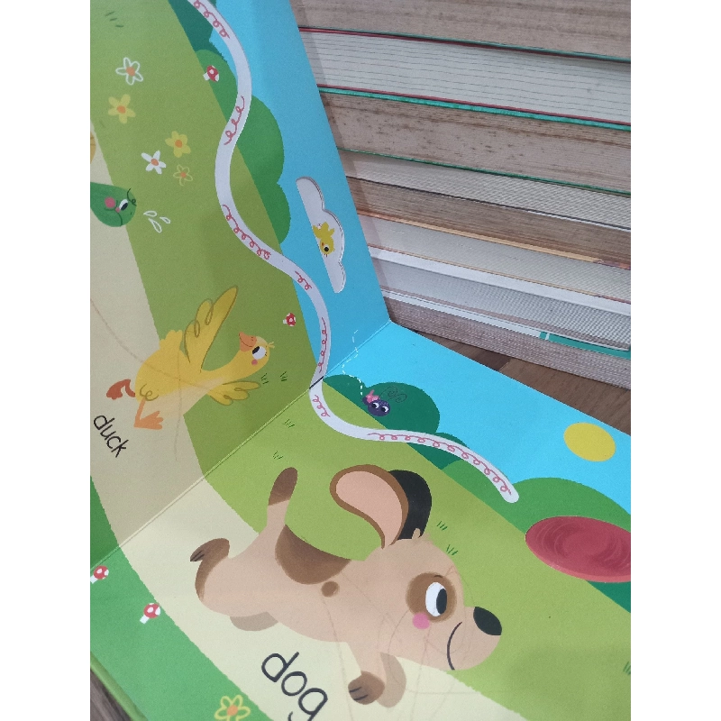 Touch, feel and follow the trails: Animals 800440