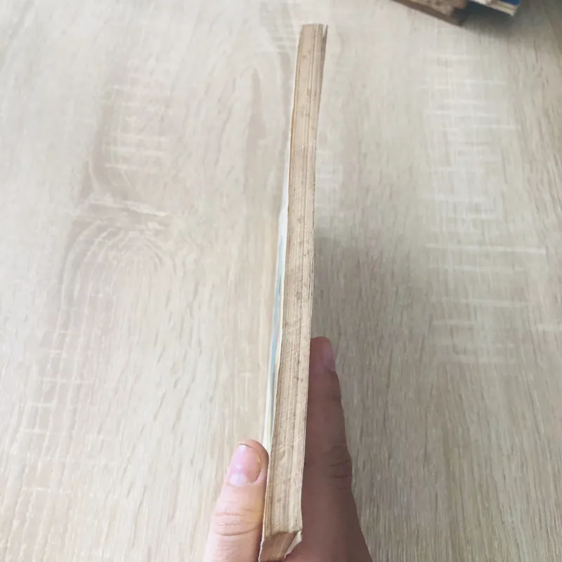 TIẾNG VIỆT 3 - Sách cấp 1 phổ cập  1019151