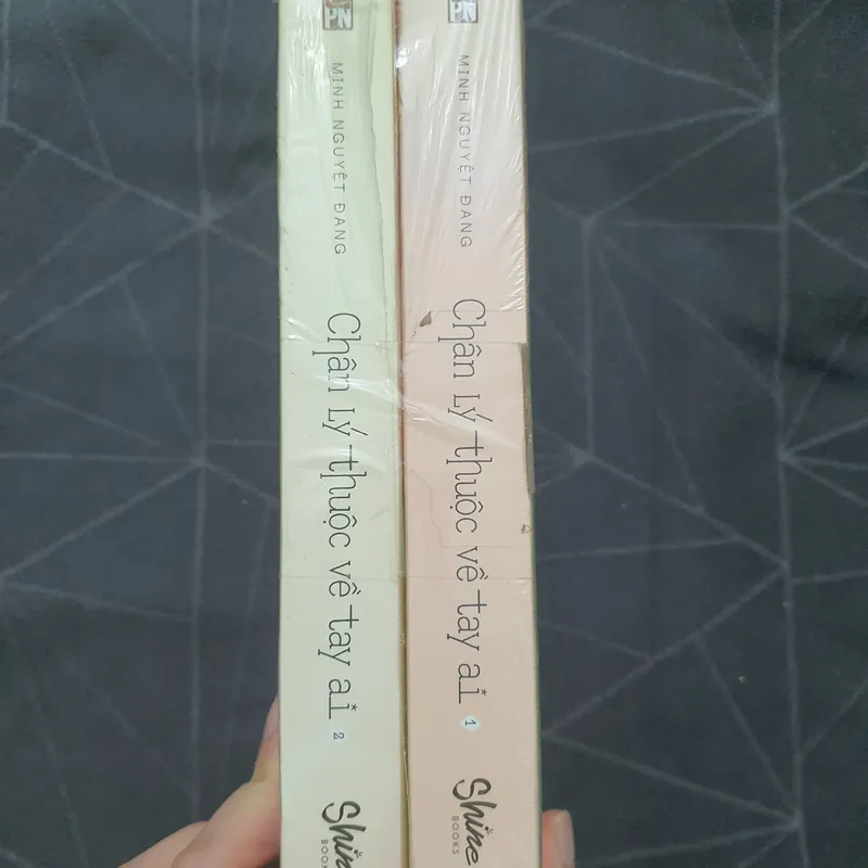 "Chân lý thuộc về tay ai" (seal, có mộc) - Minh Nguyệt Đang 602551