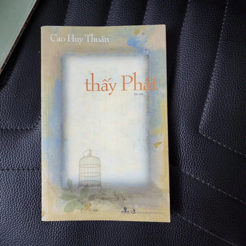 Thấy Phật | Cao Huy Thuần  493392