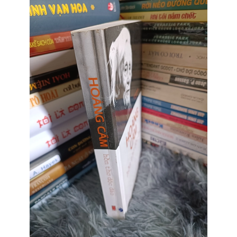 Hoàng Cầm hồn thơ độc đáo 477902