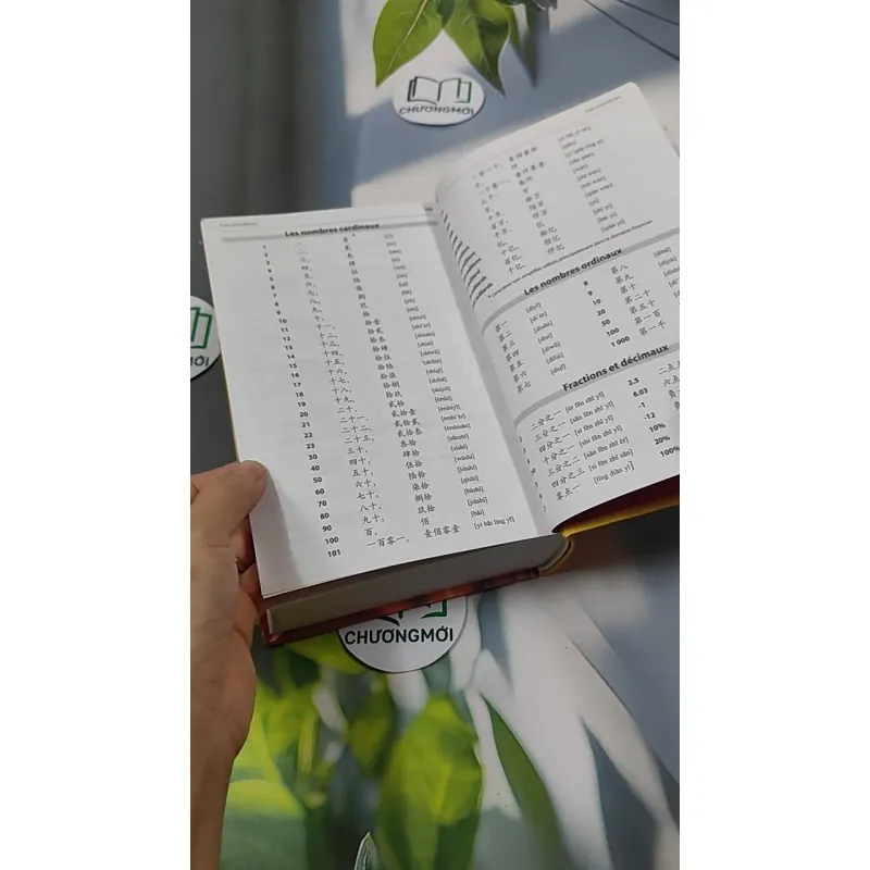 [MIỄN PHÍ BỌC SÁCH] Larousse Poche Plus Chinois 749592