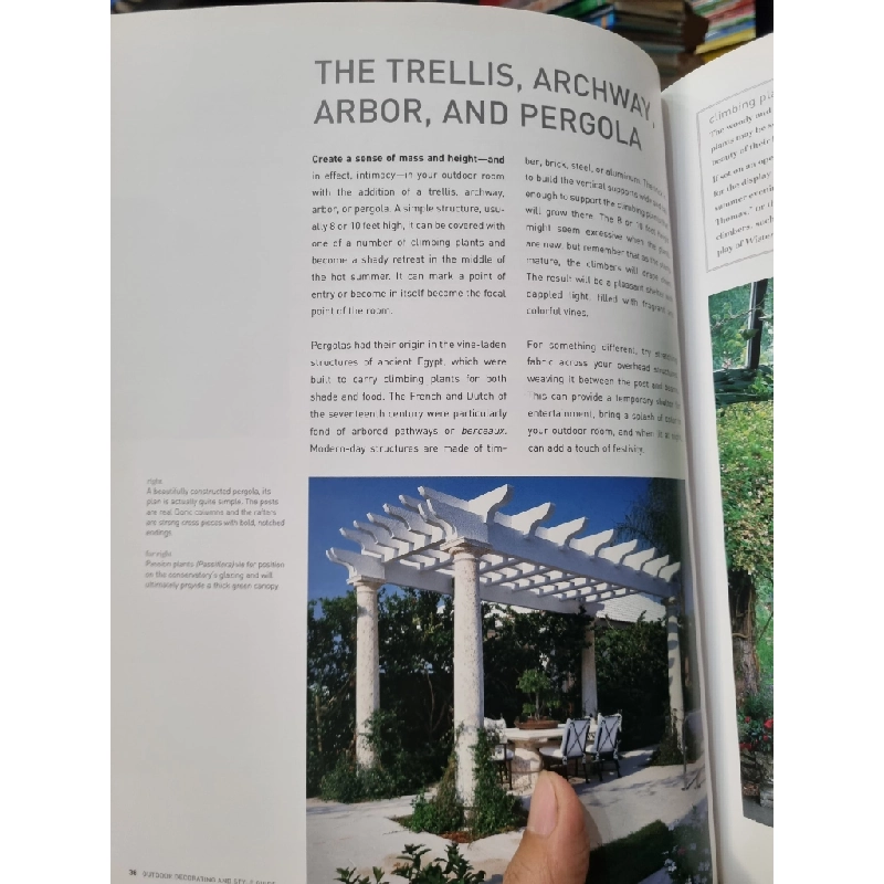 Outdoor Decorating and Style Guide 448769