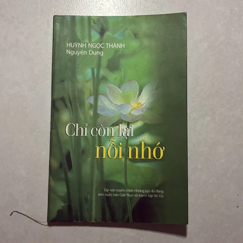 Chỉ còn lại nỗi nhớ - Nguyên Dung 756268