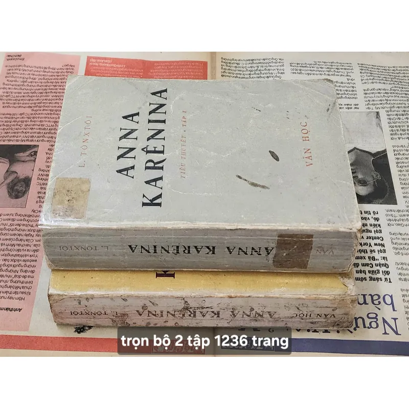 Lev Tolstoy - Trọn bộ 2 tập Anna Karenina (Dịch giả: Nhị Ca & Dương Tường) 705063