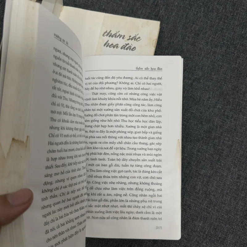 Thắm sắc hoa đào - Vương An Ức (tác giả Trường hận ca) 791194