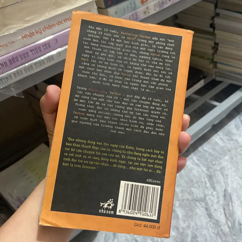 Tình yêu online của một thiếu nữ 959894