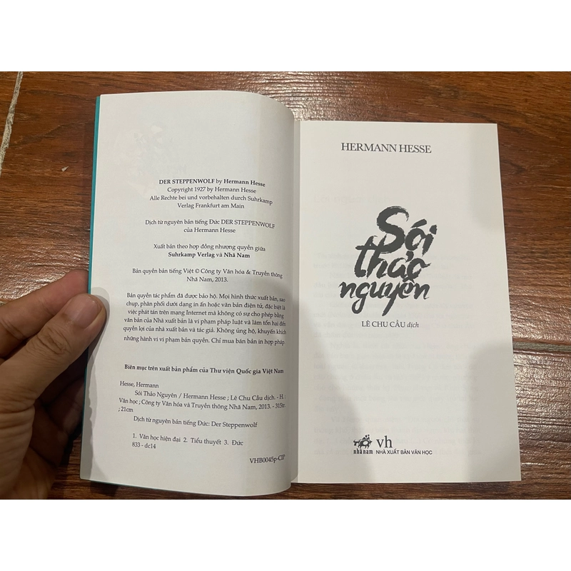 SÓI THẢO NGUYÊN - HERMANN HESSE (k1) 538046