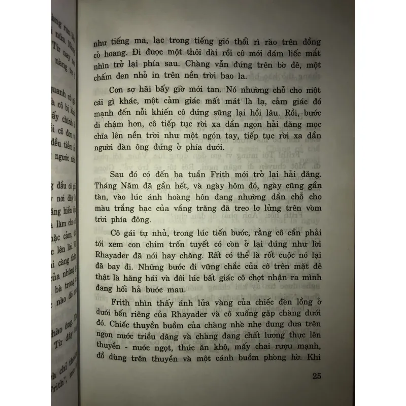 Con chim trốn tuyết 674603