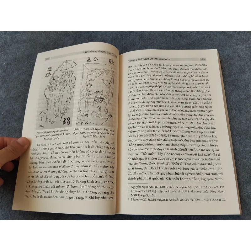 VĂN HOÁ TÍNH DỤC Ở VIỆT NAM THẾ KỶ X - XIX 720737