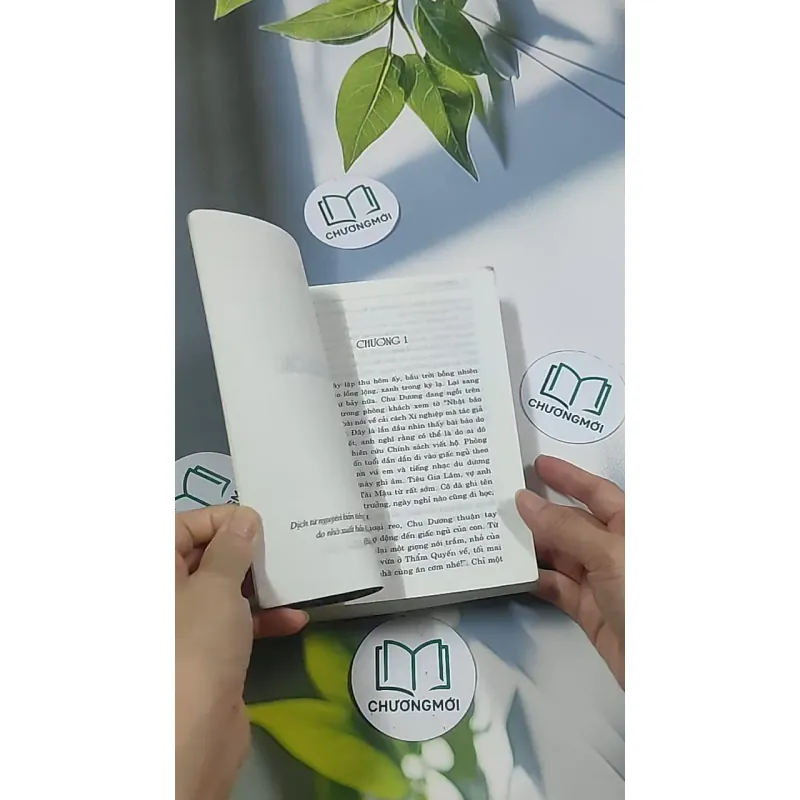 Con rể tỉnh trưởng - Phương Vỹ 695009