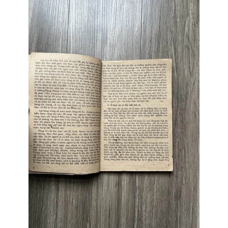 📖 Giới thực vật trong lịch sử trái đất 719242