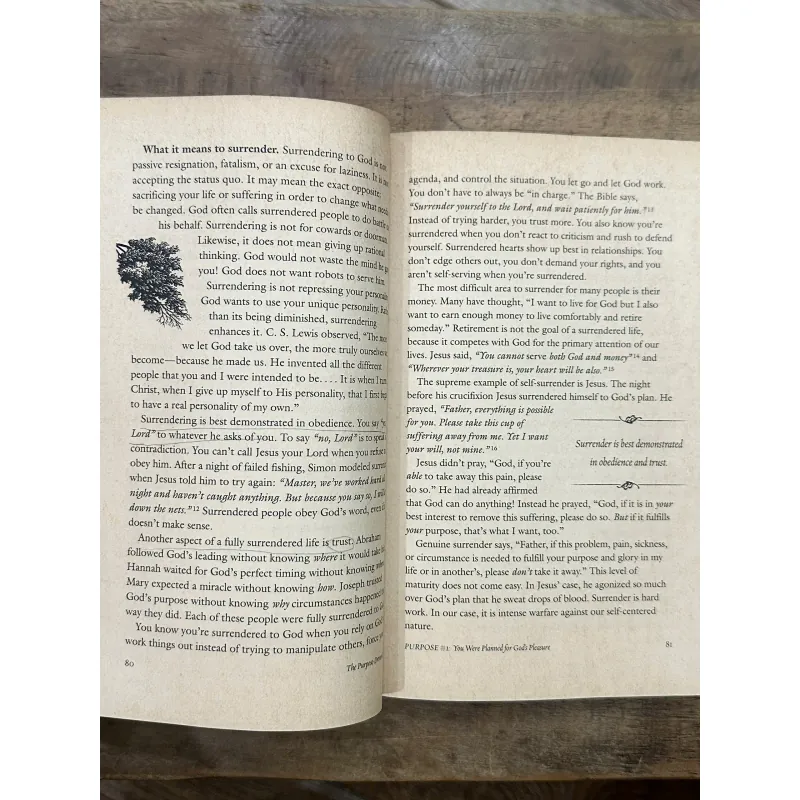 The Purpose Driven Life: What on Earth Am I Here for? - Rick Warren 734852