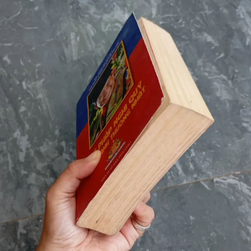 Mật Pháp Nghĩ Quỹ Thực Hành Thường Nhật  786679