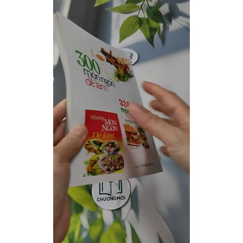 300 Món Ngon Dễ Làm - Ngọc Huệ 727228