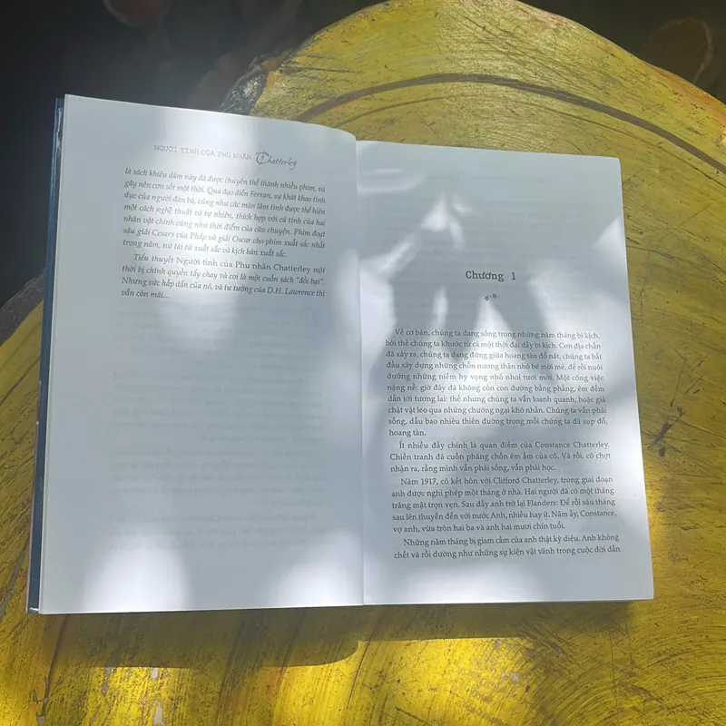 COMBO D.H. LAWRENCE: NGƯỜI TÌNH CỦA PHU NHÂN CHATTERLEY - NGƯỜI ĐÀN BÀ ĐANG YÊU 717169