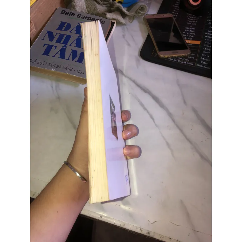 Phonh Lưu Cũ Mới Vương Hồng Sển  935104