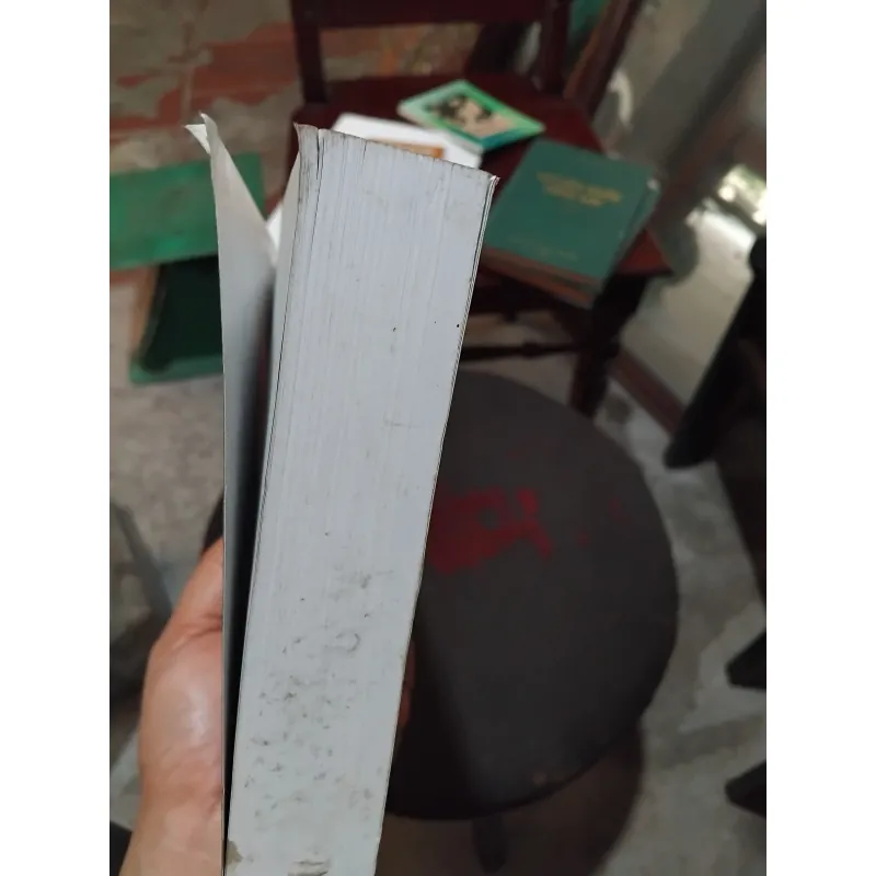 Phát triển bền vững vùng ven các đô thị tại Việt Nam  1002672