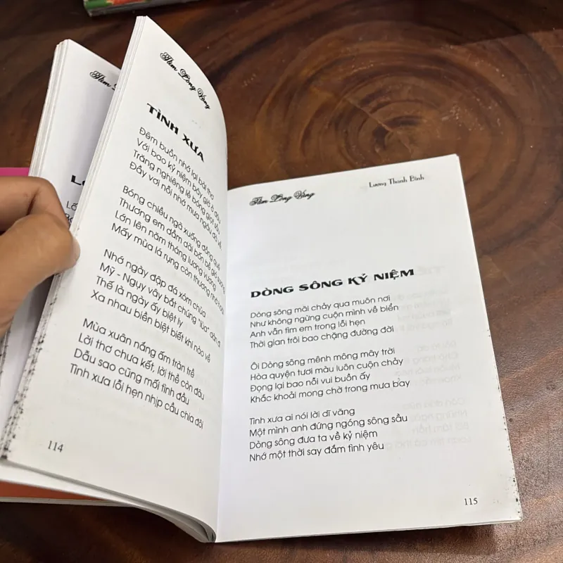 II Thơ: Tình Mẹ + Tấm Lòng Vàng - Lương Thanh Bình 998086