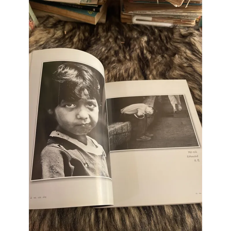 Sắc màu cuộc sống Tran Quan Lai 746035