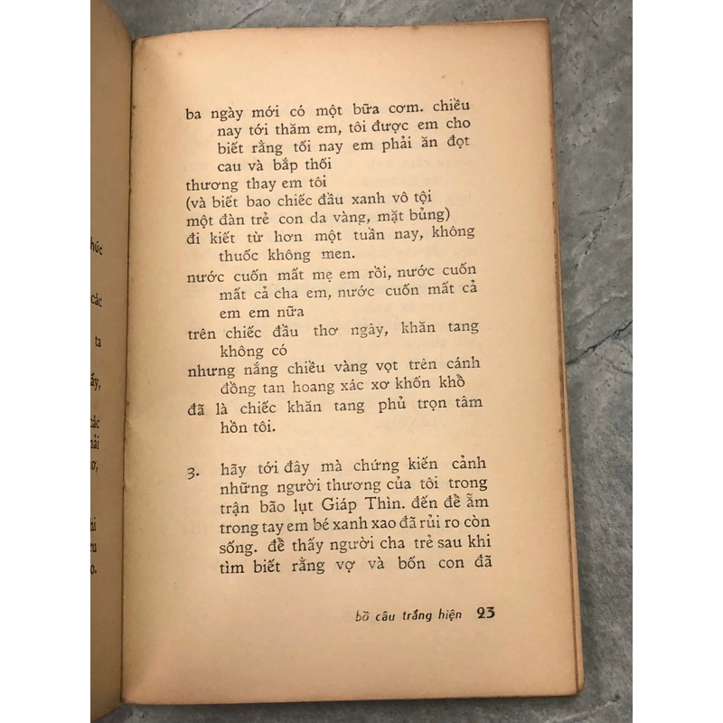 CHẮP TAY NGUYỆN CẦU CHO BỒ CÂU TRẮNG HIỆN - NHẤT HẠNH 455534