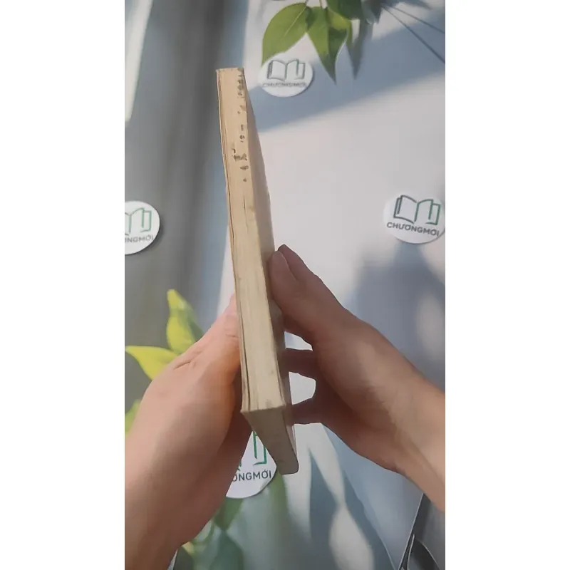 Dạ, Thưa Thầy - Phan Hoàng 928525