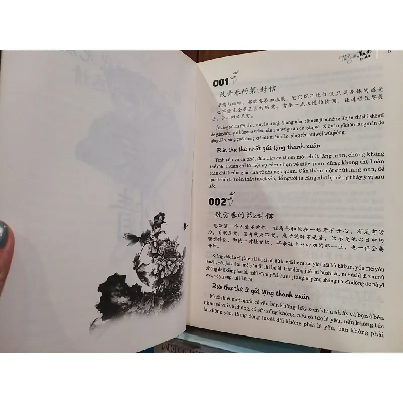 Thư gửi thanh xuân - Nhật Phạm 695648