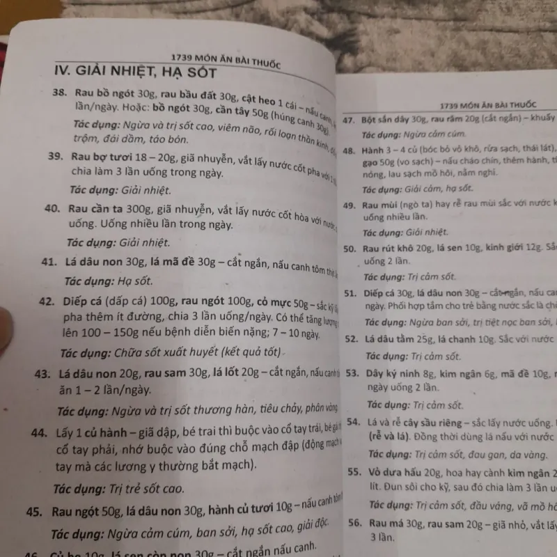 Món ăn bài thuốc- 1739 món chữa bệnh từ RAU CỦ QUẢ.TG Lương Y Tuệ Minh và Dương Thiện 747534