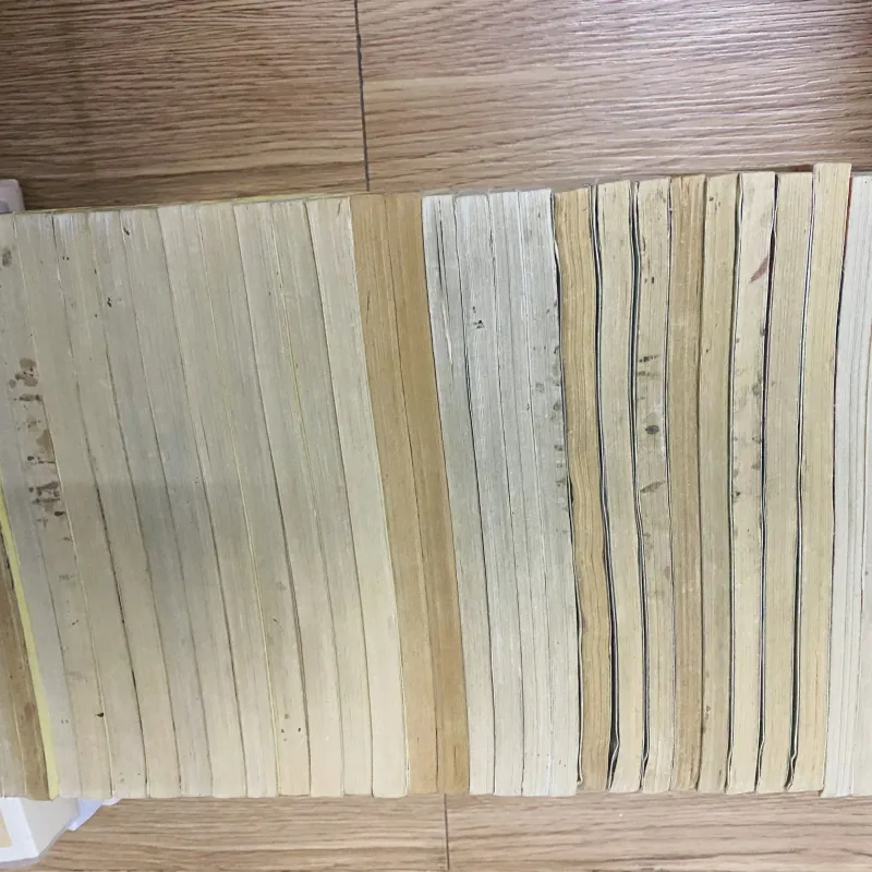 [BẢN CỔ 2003] Full bộ Slam Dunk - NXB Trẻ (Trọn bộ 31 tập) 752425